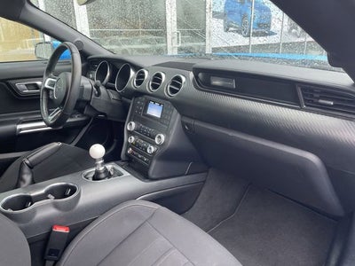 2023 Ford Mustang EcoBoost Fastback