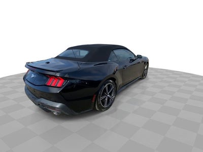 2024 Ford Mustang EcoBoost Premium