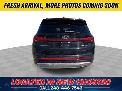 2023 Hyundai Santa Fe Calligraphy