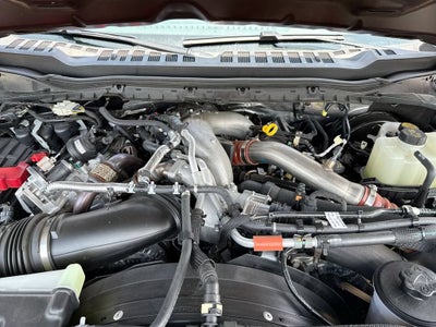 2025 Ford Super Duty F-250 SRW XL