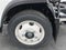 2024 Chevrolet Low Cab Forward 5500 XG 5500