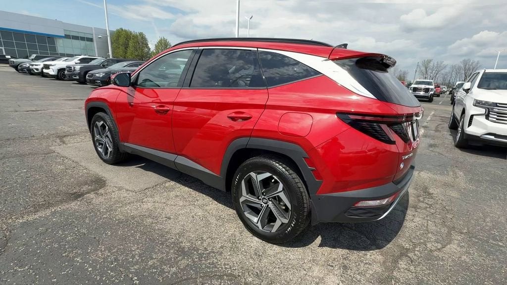 View 6