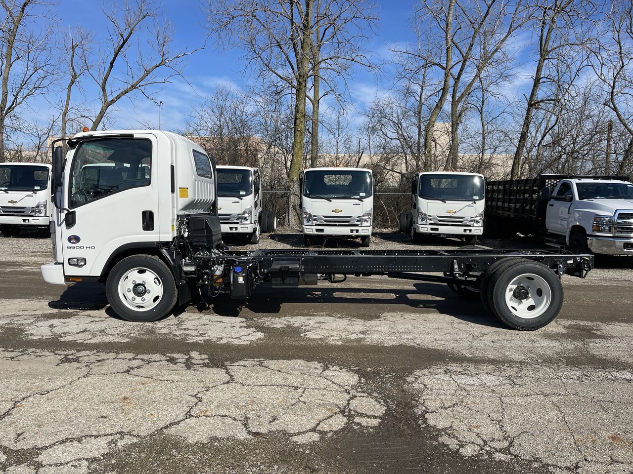2024 Chevrolet Low Cab Forward 5500 HD 2WD Reg Cab 176