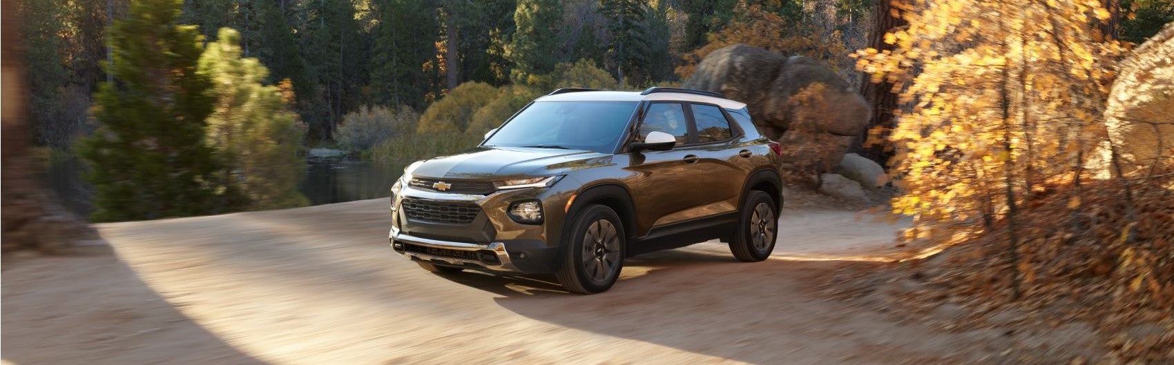 Chevy Trailblazer 1 Snipped